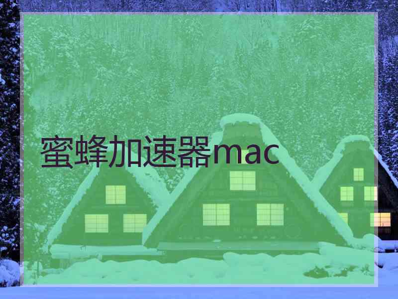 蜜蜂加速器mac 蜜蜂加速器mac
