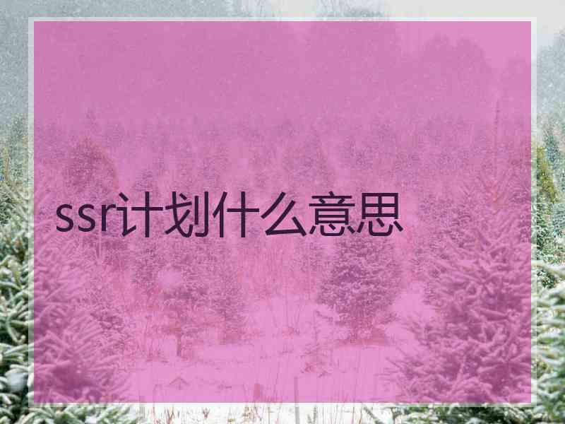 ssr计划什么意思 ssr计划什么意思