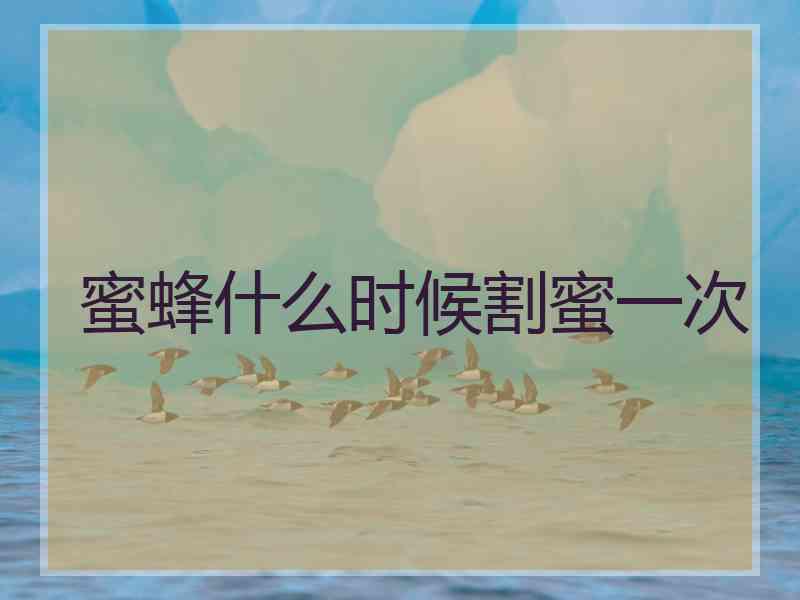 蜜蜂什么时候割蜜一次 蜜蜂什么时候割蜜一次