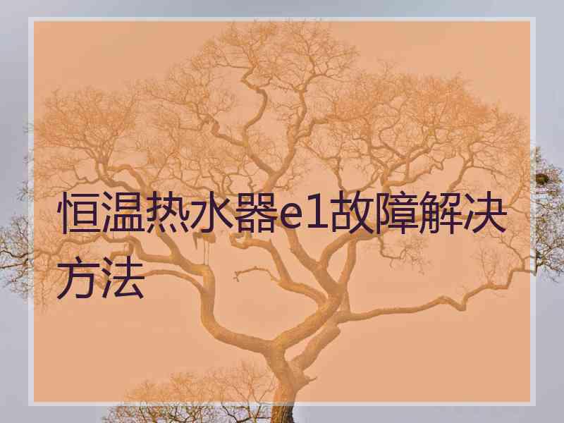 恒温热水器e1故障解决方法 恒温热水器e1故障解决方法