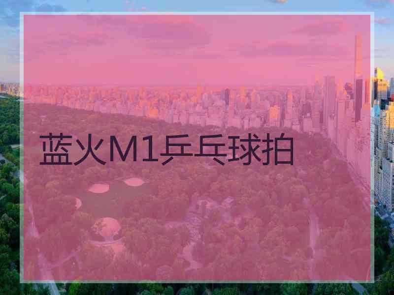 蓝火M1乒乓球拍 蓝火M1乒乓球拍