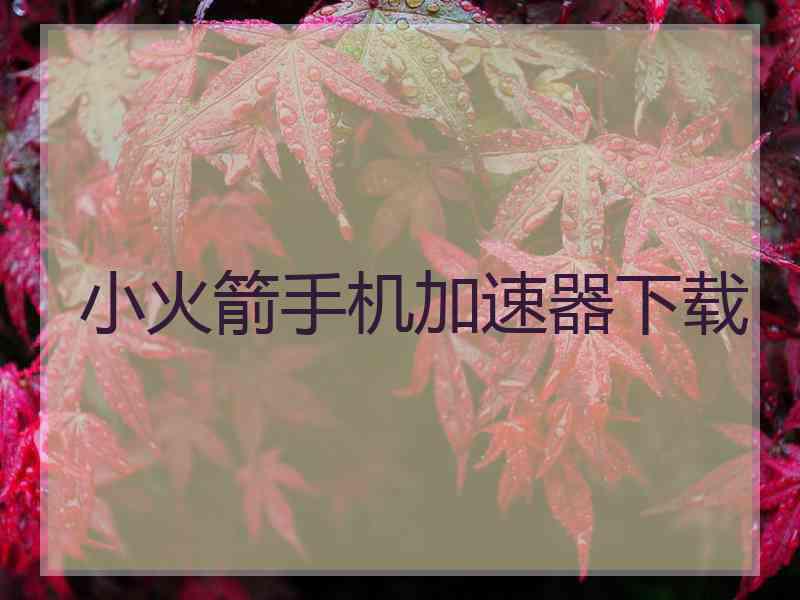 小火箭手机加速器下载 小火箭手机加速器下载