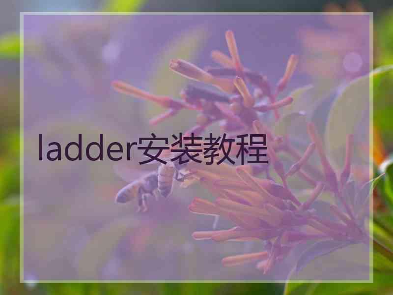 ladder安装教程 ladder安装教程