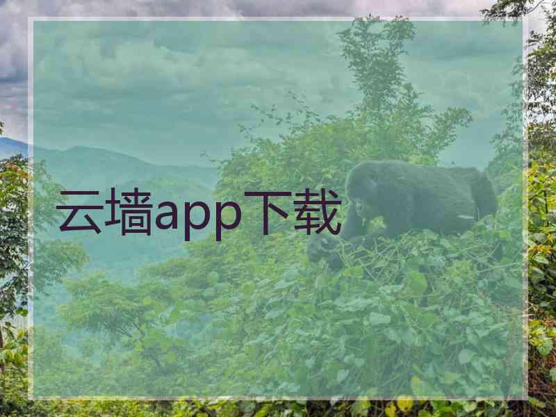 云墙app下载 云墙app下载
