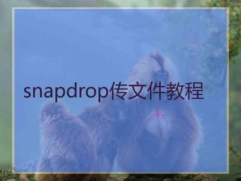 snapdrop传文件教程 snapdrop传文件教程