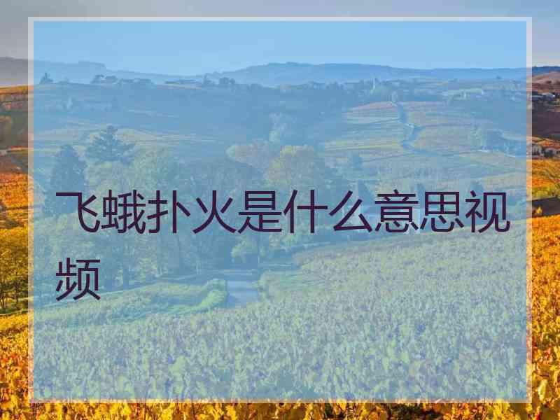 飞蛾扑火是什么意思视频 飞蛾扑火是什么意思视频