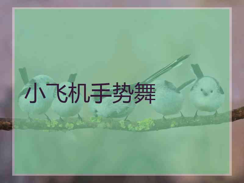小飞机手势舞 小飞机手势舞