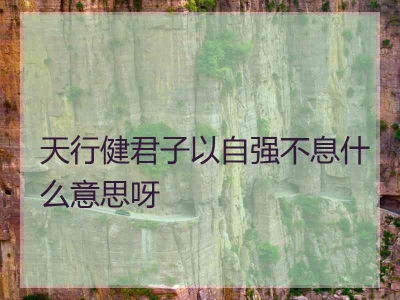 天行健君子以自强不息什么意思呀 天行健君子以自强不息什么意思呀