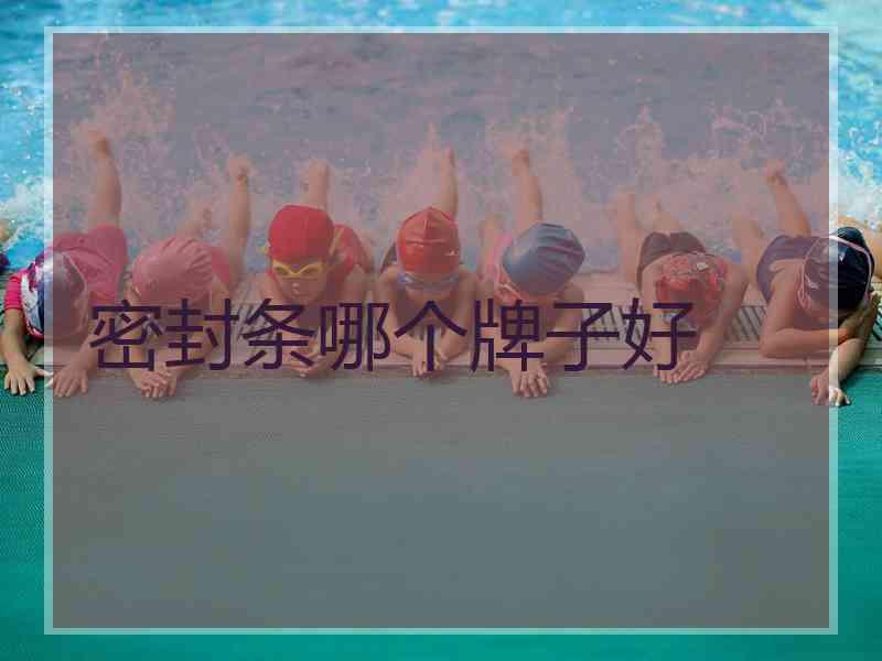 密封条哪个牌子好 密封条哪个牌子好