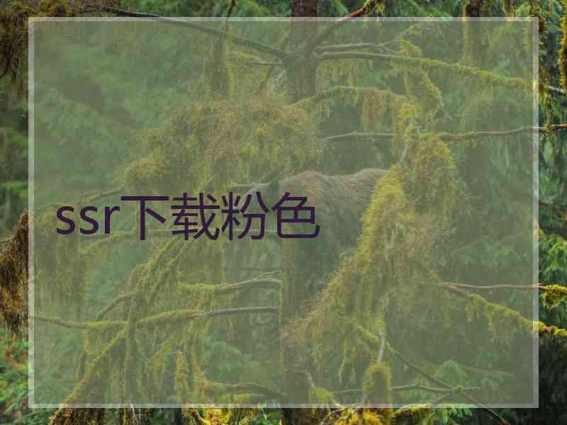 ssr下载粉色 ssr下载粉色