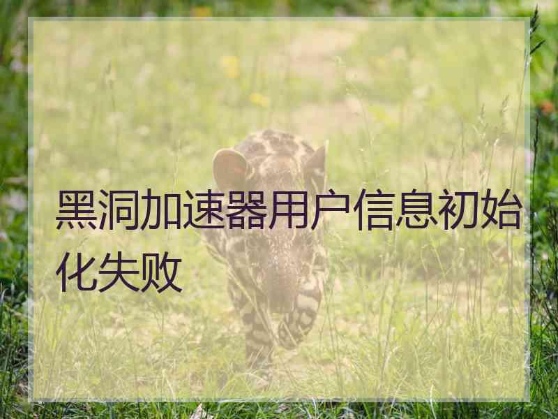 黑洞加速器用户信息初始化失败 黑洞加速器用户信息初始化失败