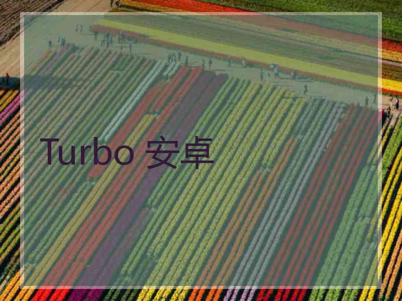Turbo 安卓 Turbo 安卓