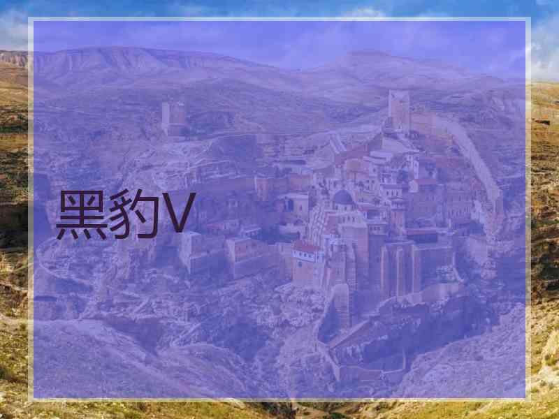 黑豹V 黑豹V