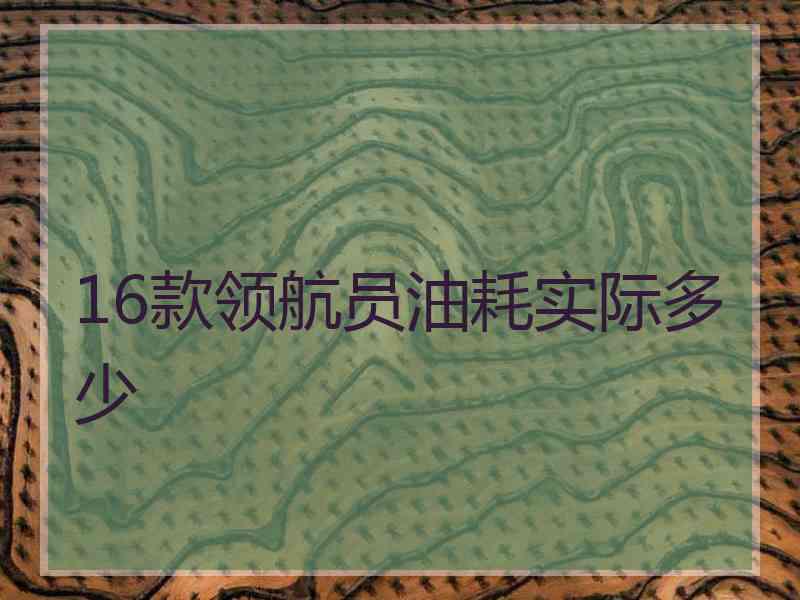 16款领航员油耗实际多少 16款领航员油耗实际多少