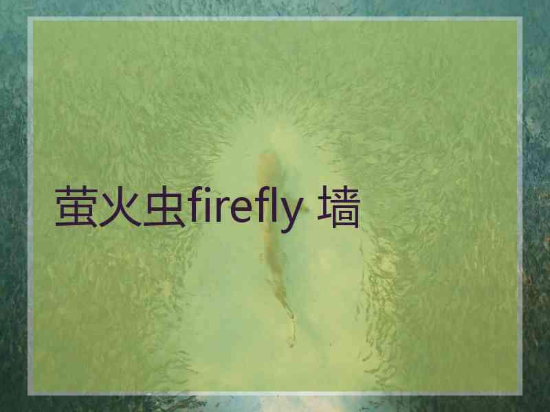萤火虫firefly 墙