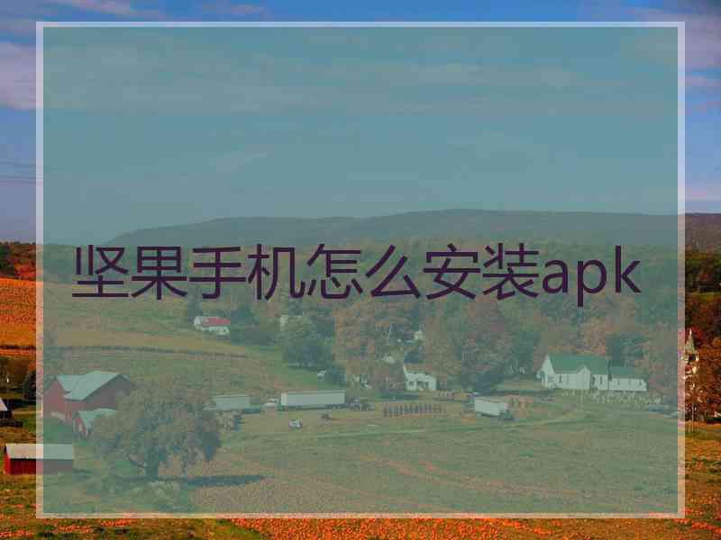 坚果手机怎么安装apk 坚果手机怎么安装apk