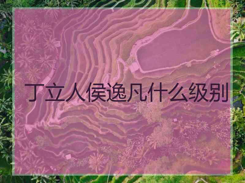 丁立人侯逸凡什么级别 丁立人侯逸凡什么级别