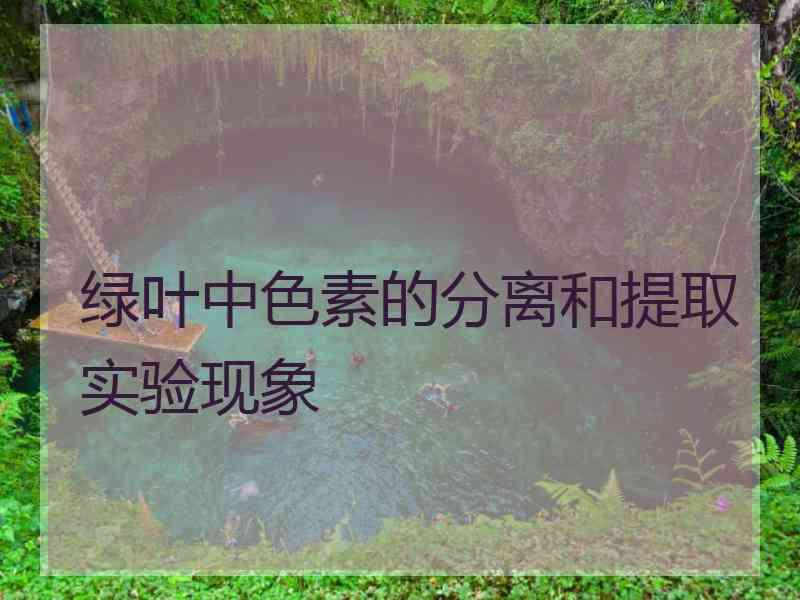 绿叶中色素的分离和提取实验现象 绿叶中色素的分离和提取实验现象