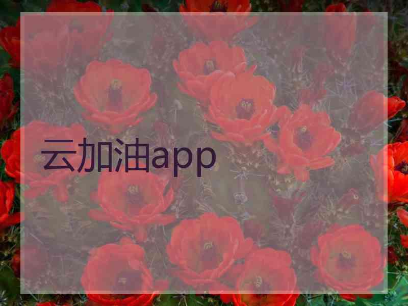 云加油app 云加油app