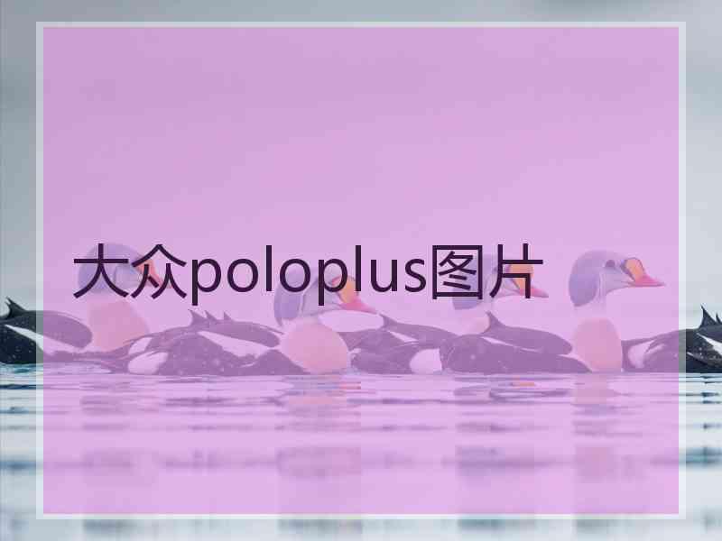 大众poloplus图片 大众poloplus图片