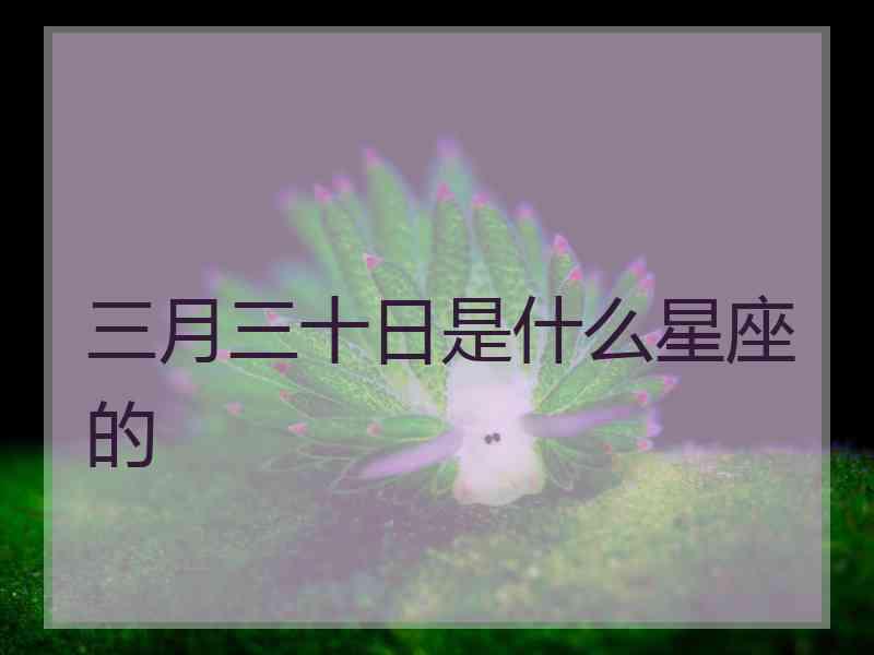 三月三十日是什么星座的 三月三十日是什么星座的