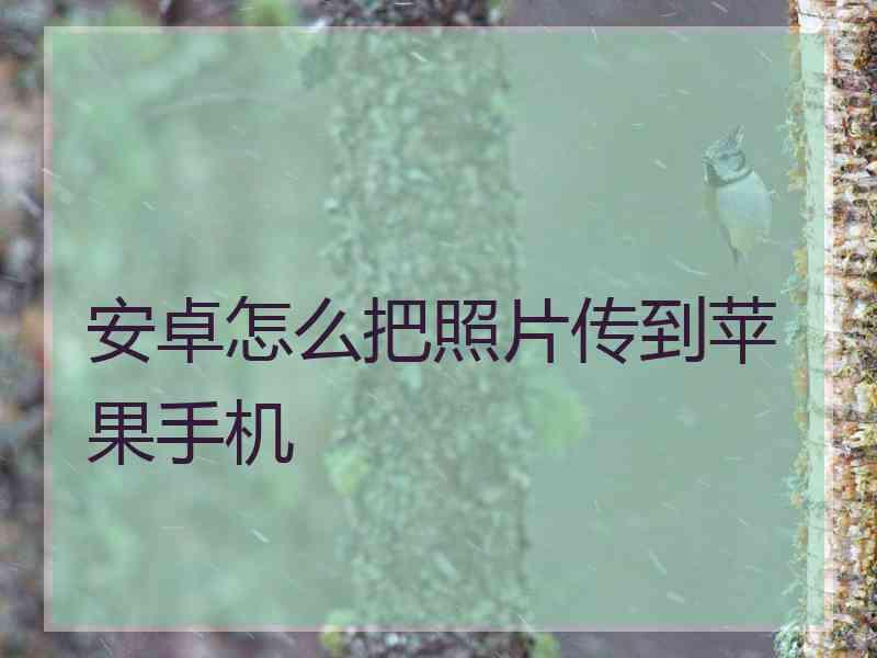 安卓怎么把照片传到苹果手机 安卓怎么把照片传到苹果手机
