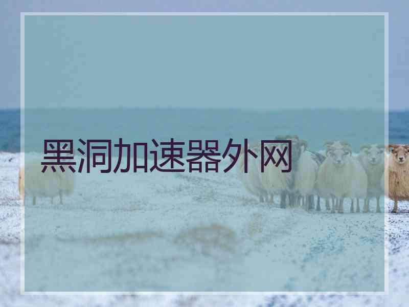黑洞加速器外网 黑洞加速器外网