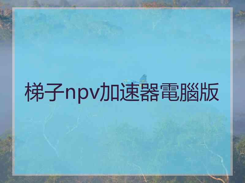 梯子npv加速器電腦版 梯子npv加速器電腦版