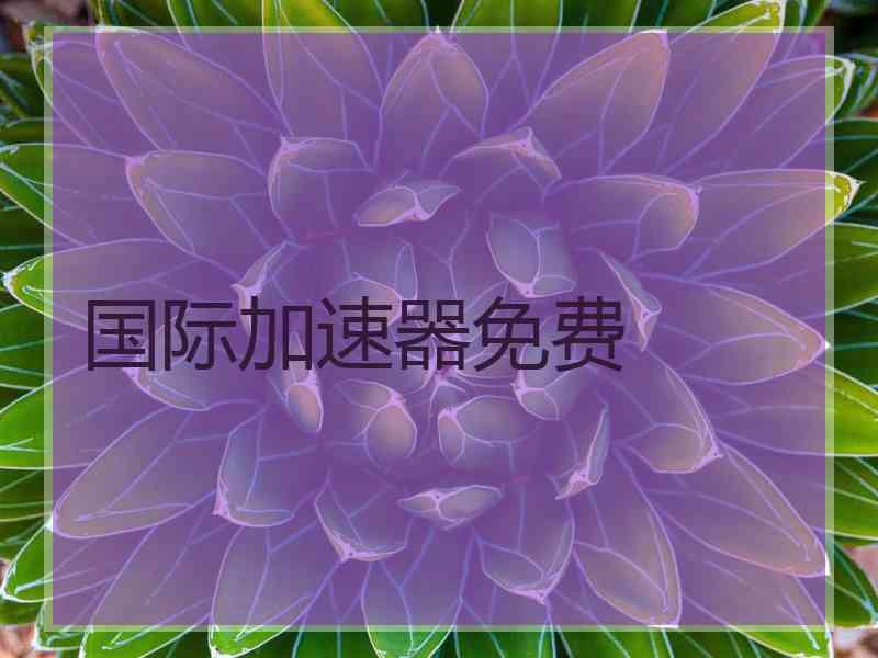 国际加速器免费 国际加速器免费