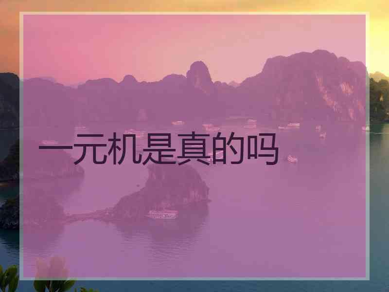 一元机是真的吗 一元机是真的吗