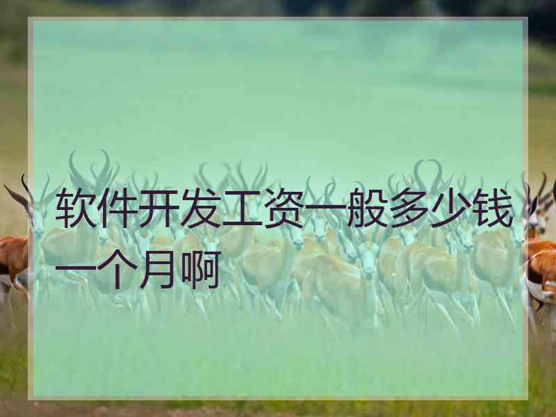 软件开发工资一般多少钱一个月啊 软件开发工资一般多少钱一个月啊