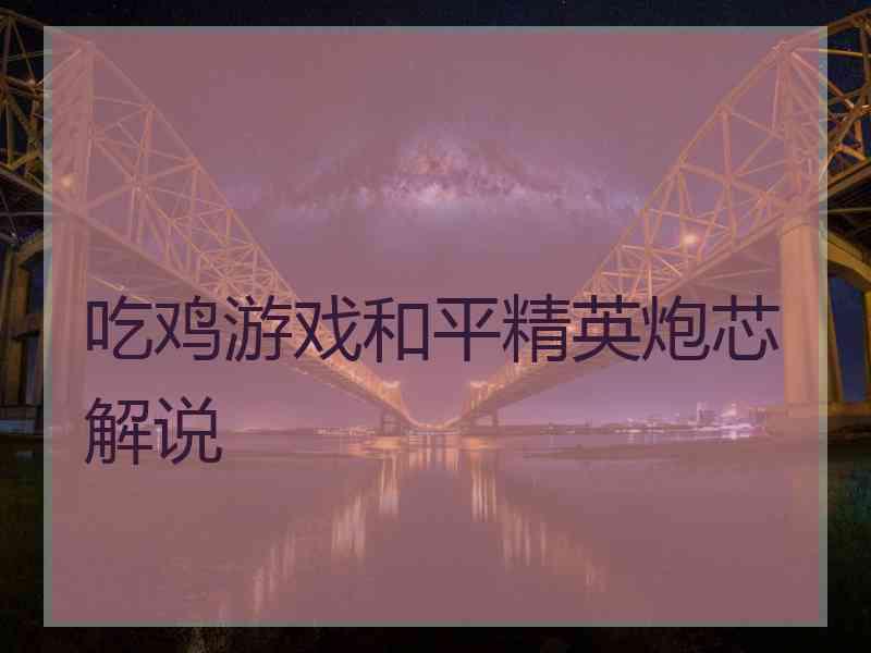 吃鸡游戏和平精英炮芯解说 吃鸡游戏和平精英炮芯解说