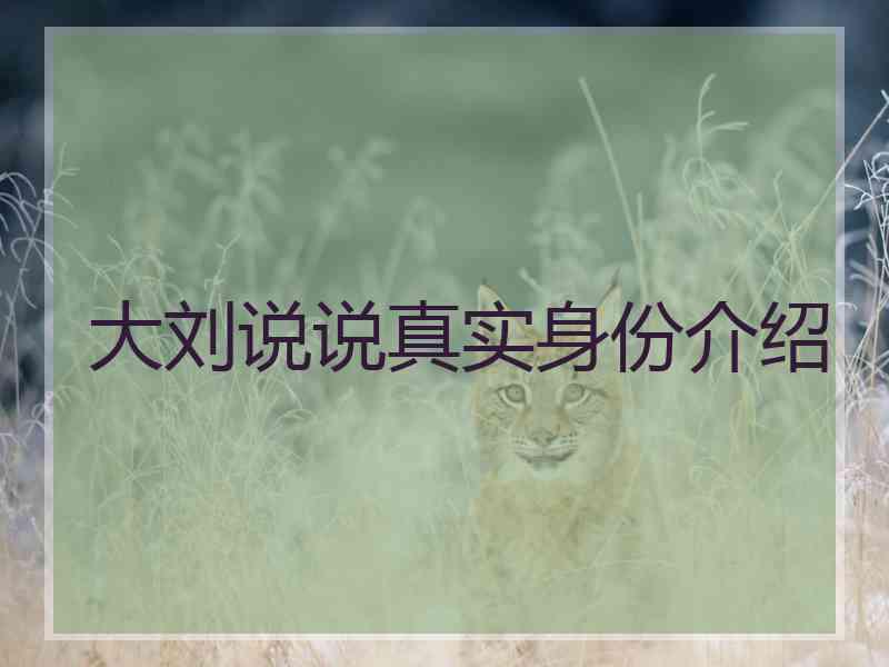 大刘说说真实身份介绍 大刘说说真实身份介绍