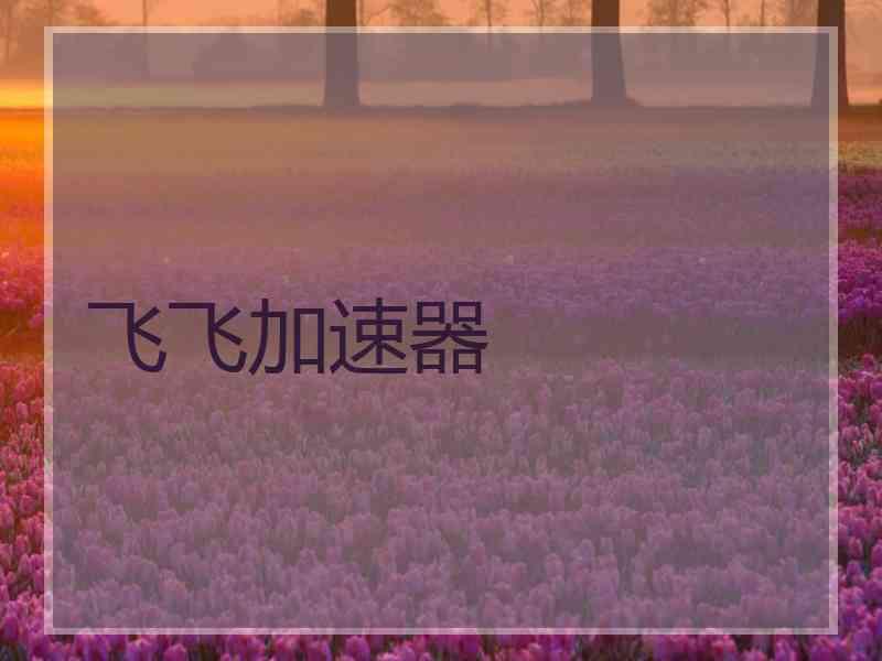 飞飞加速器 飞飞加速器