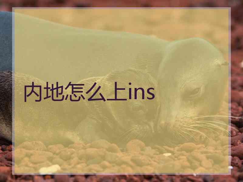 内地怎么上ins 内地怎么上ins
