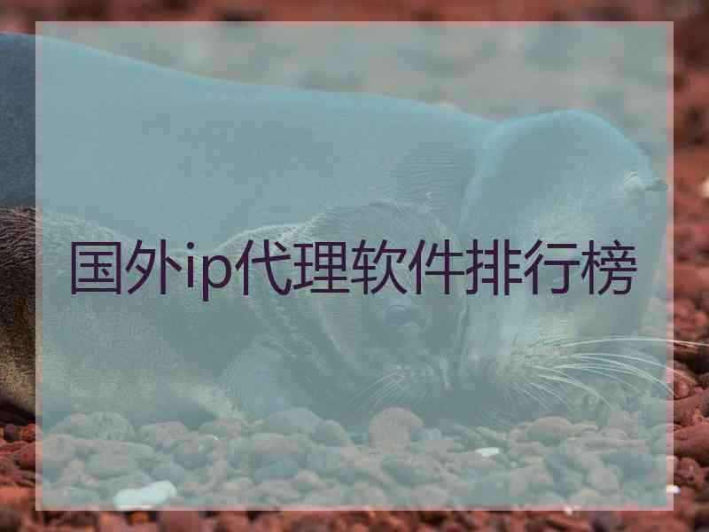 国外ip代理软件排行榜 国外ip代理软件排行榜