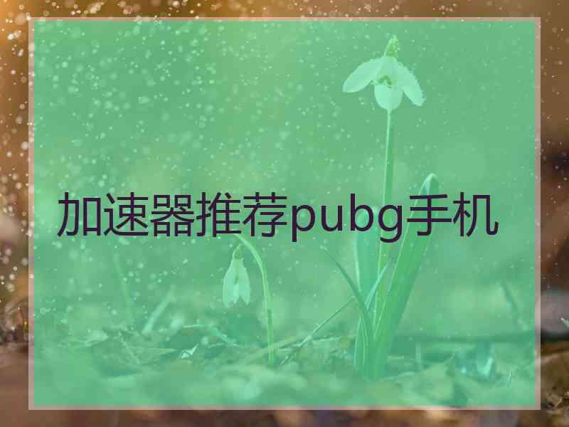 加速器推荐pubg手机 加速器推荐pubg手机