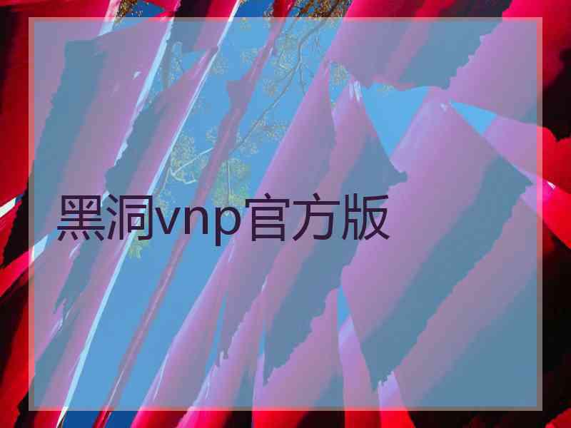 黑洞vnp官方版 黑洞vnp官方版