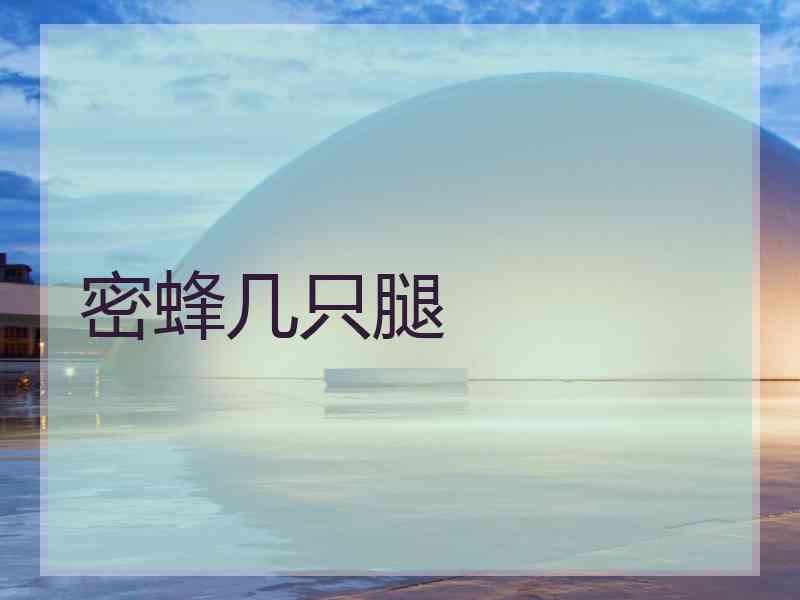 密蜂几只腿 密蜂几只腿