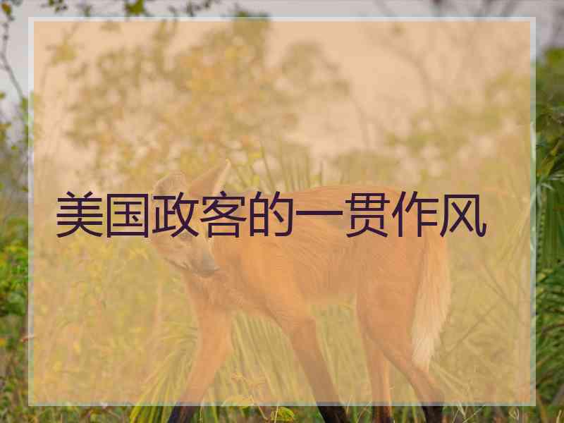 美国政客的一贯作风