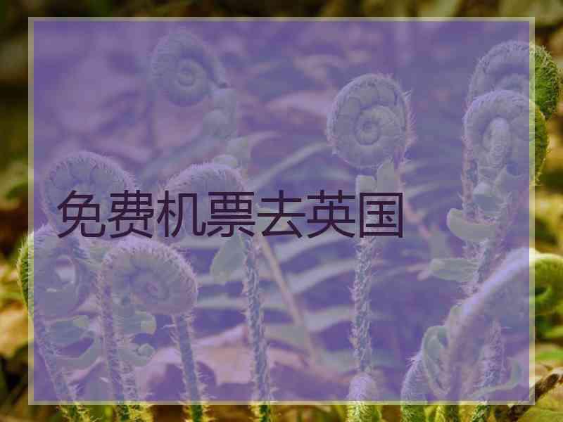 免费机票去英国