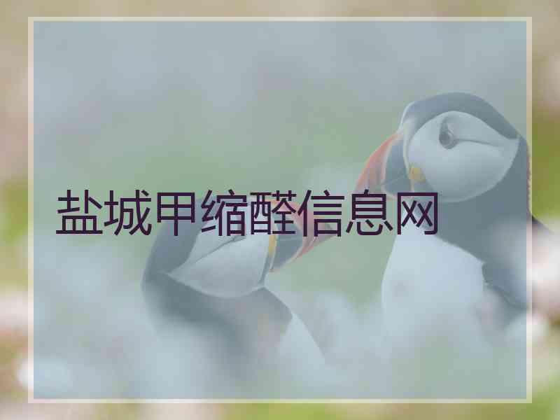 盐城甲缩醛信息网
