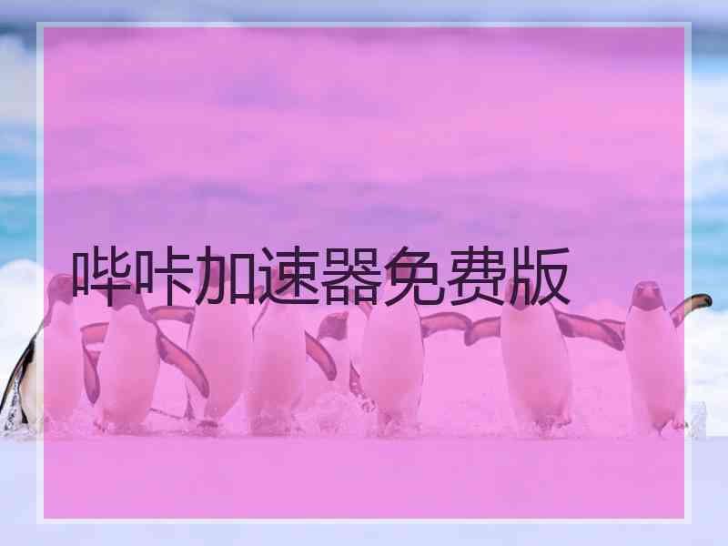 哔咔加速器免费版
