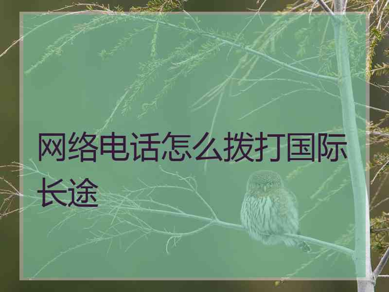 网络电话怎么拨打国际长途