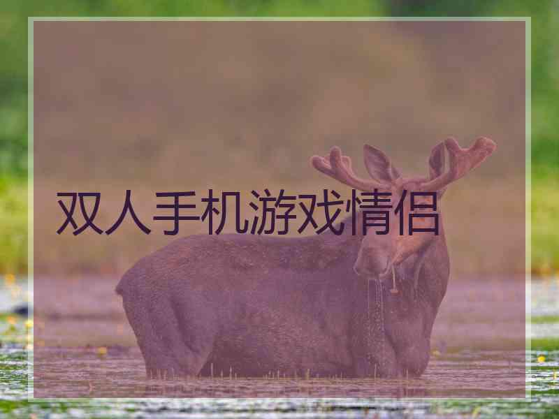 双人手机游戏情侣