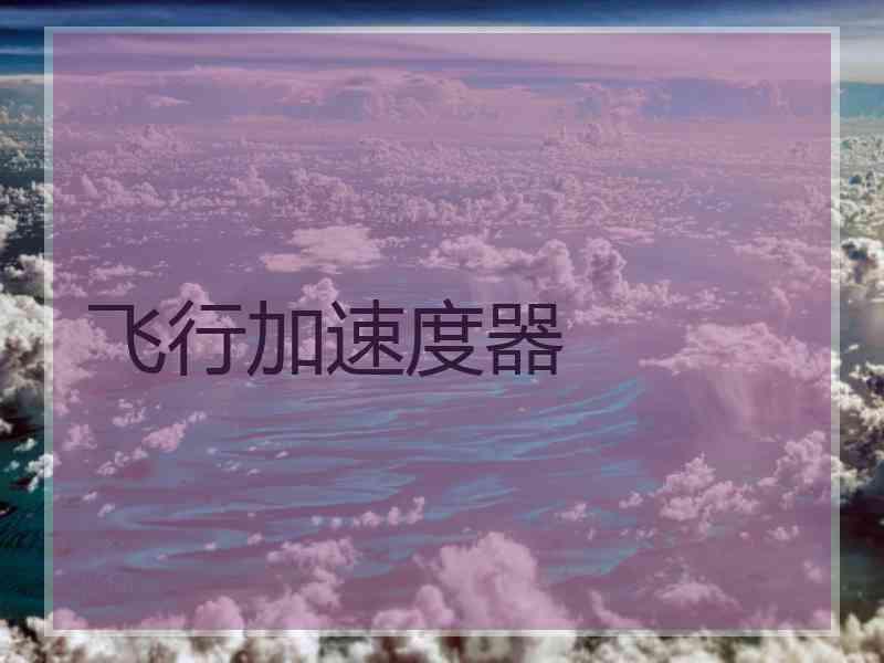 飞行加速度器