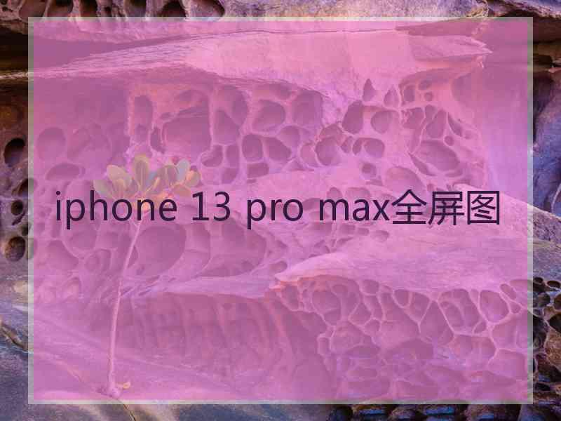 iphone 13 pro max全屏图
