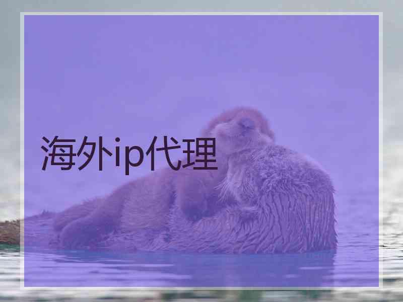 海外ip代理