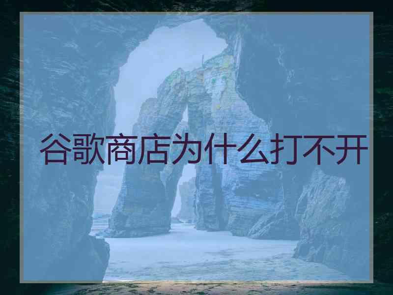 谷歌商店为什么打不开