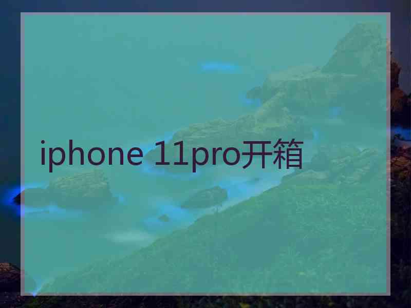 iphone 11pro开箱